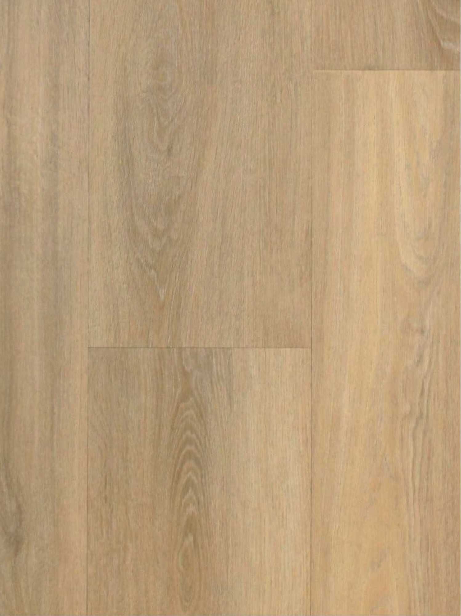 Amazone visgraat - PVC plak