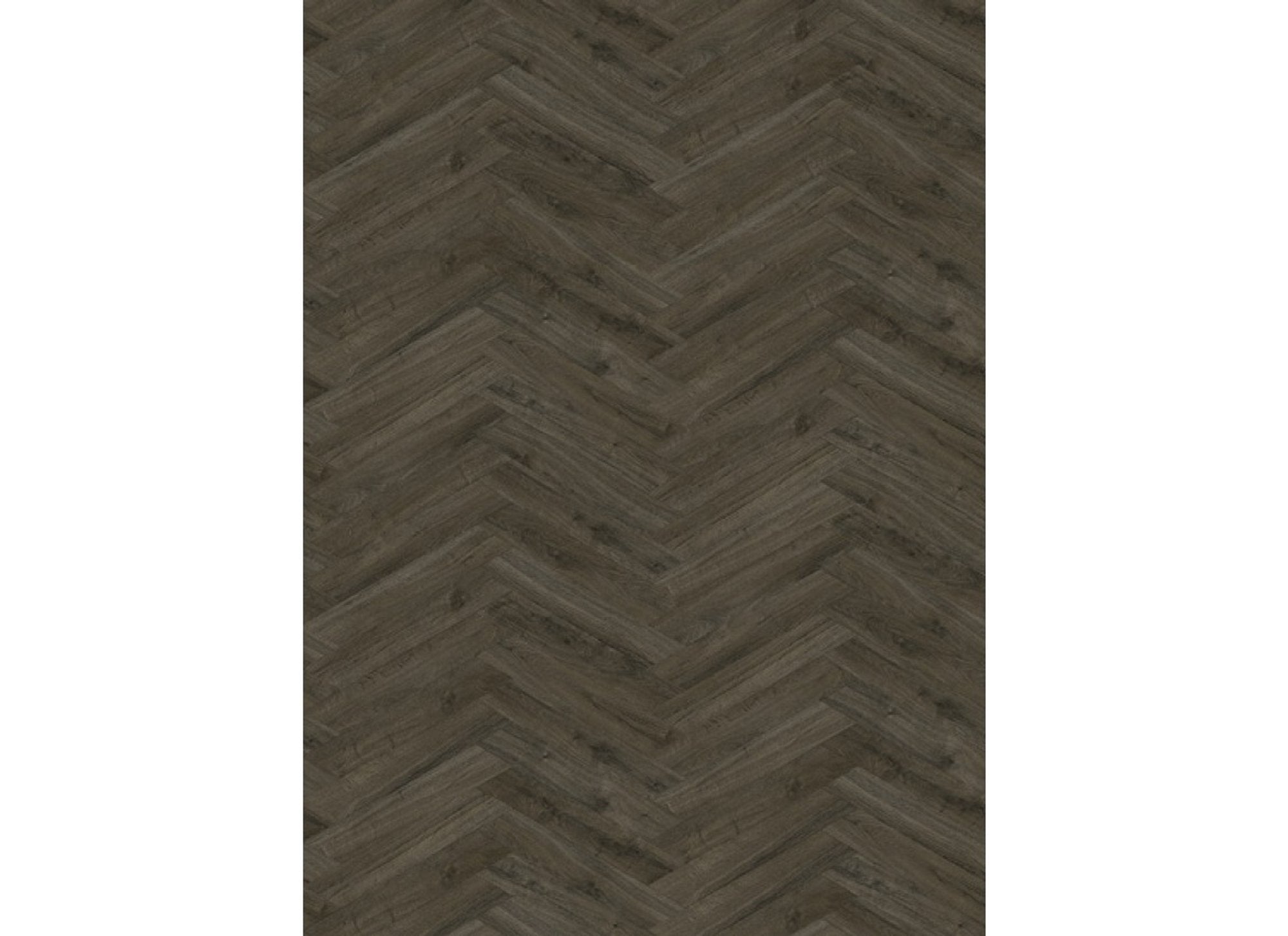 Oakland Special 3706 (Weense punt) Soil