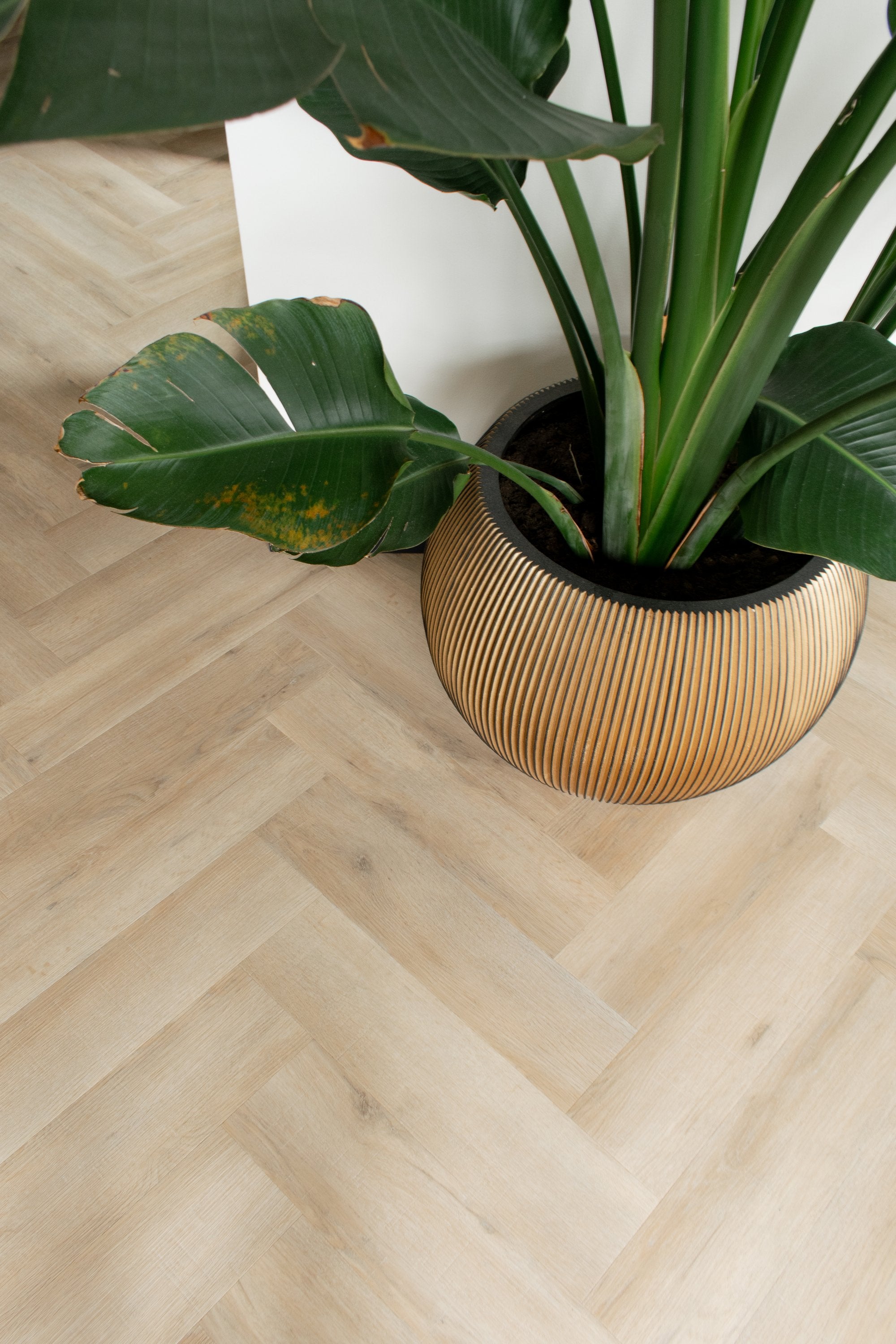Artline Visgraat 1260 Premium Oak Beige