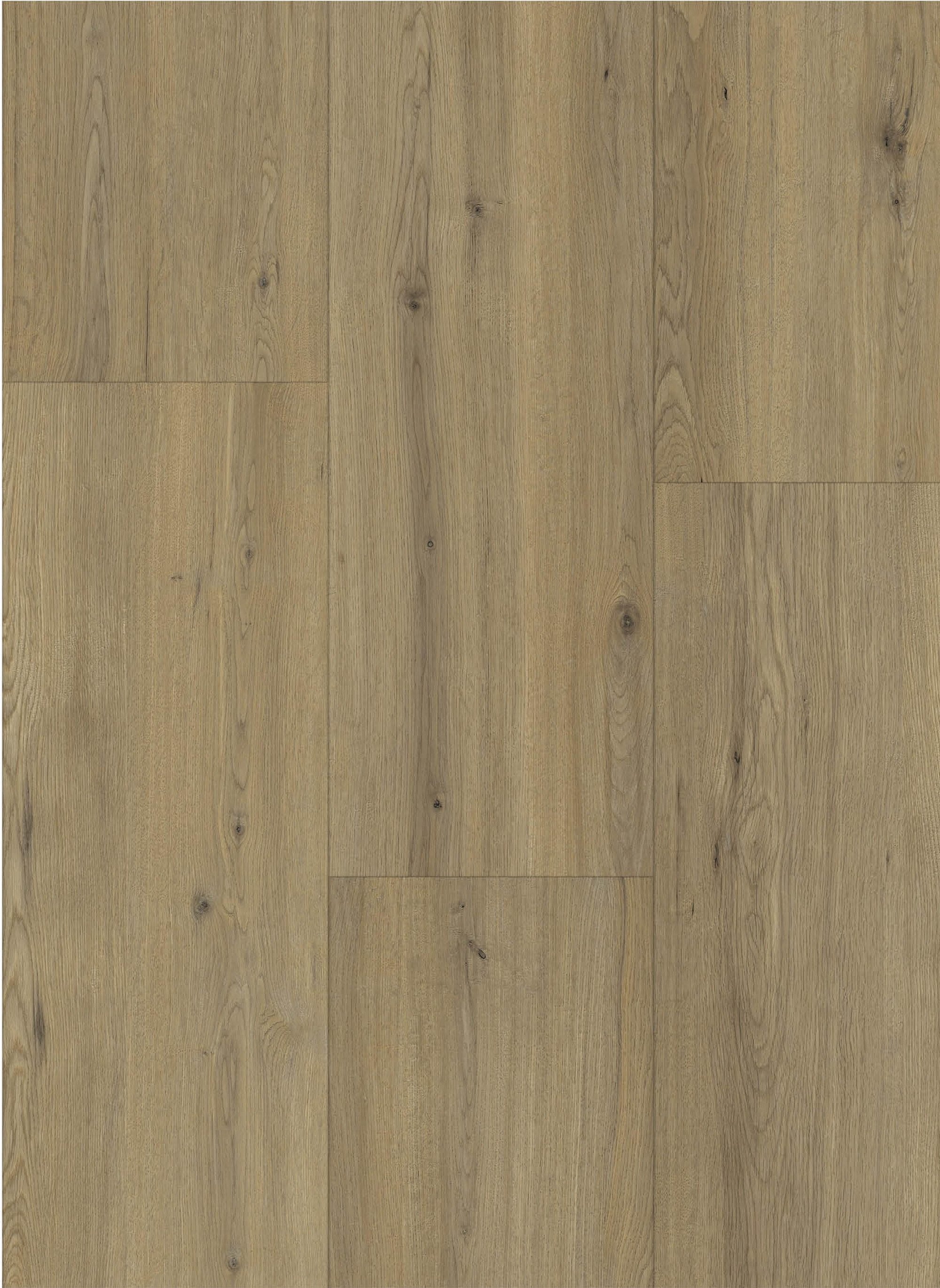 Maestro 80631 Disentis Oak