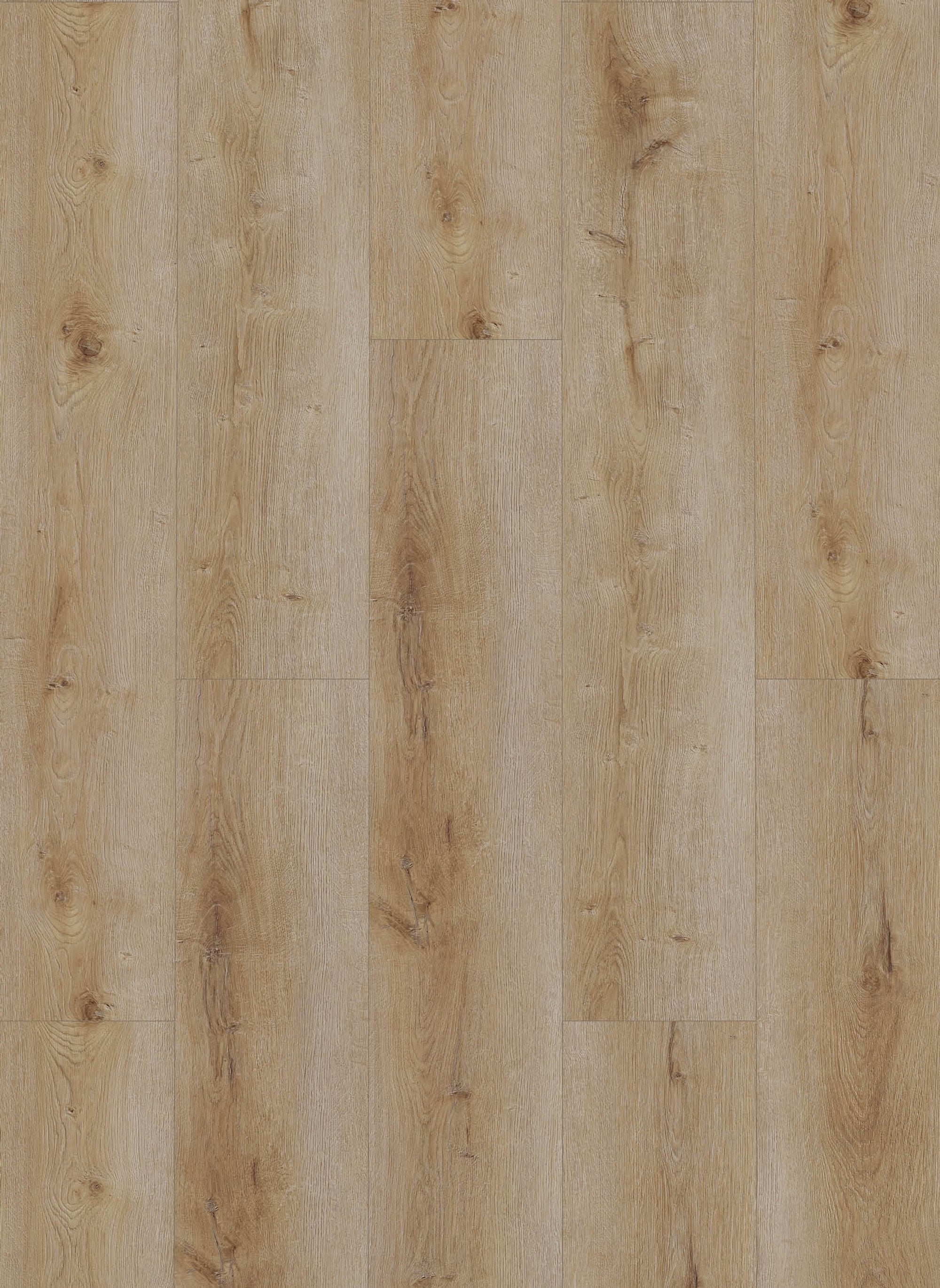 Dynamic 3501 (rigid click) Natural smoked