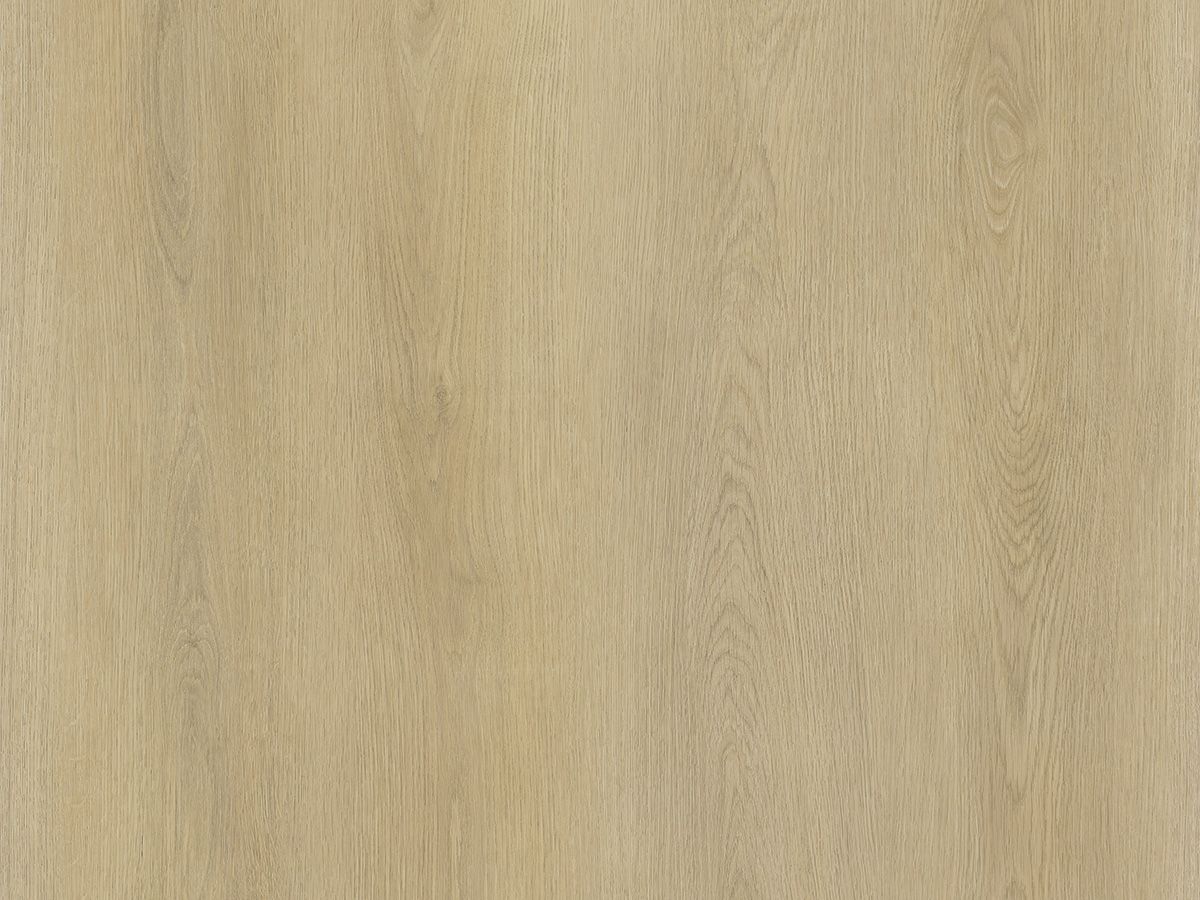 Warm Oak Plank Dry-Back