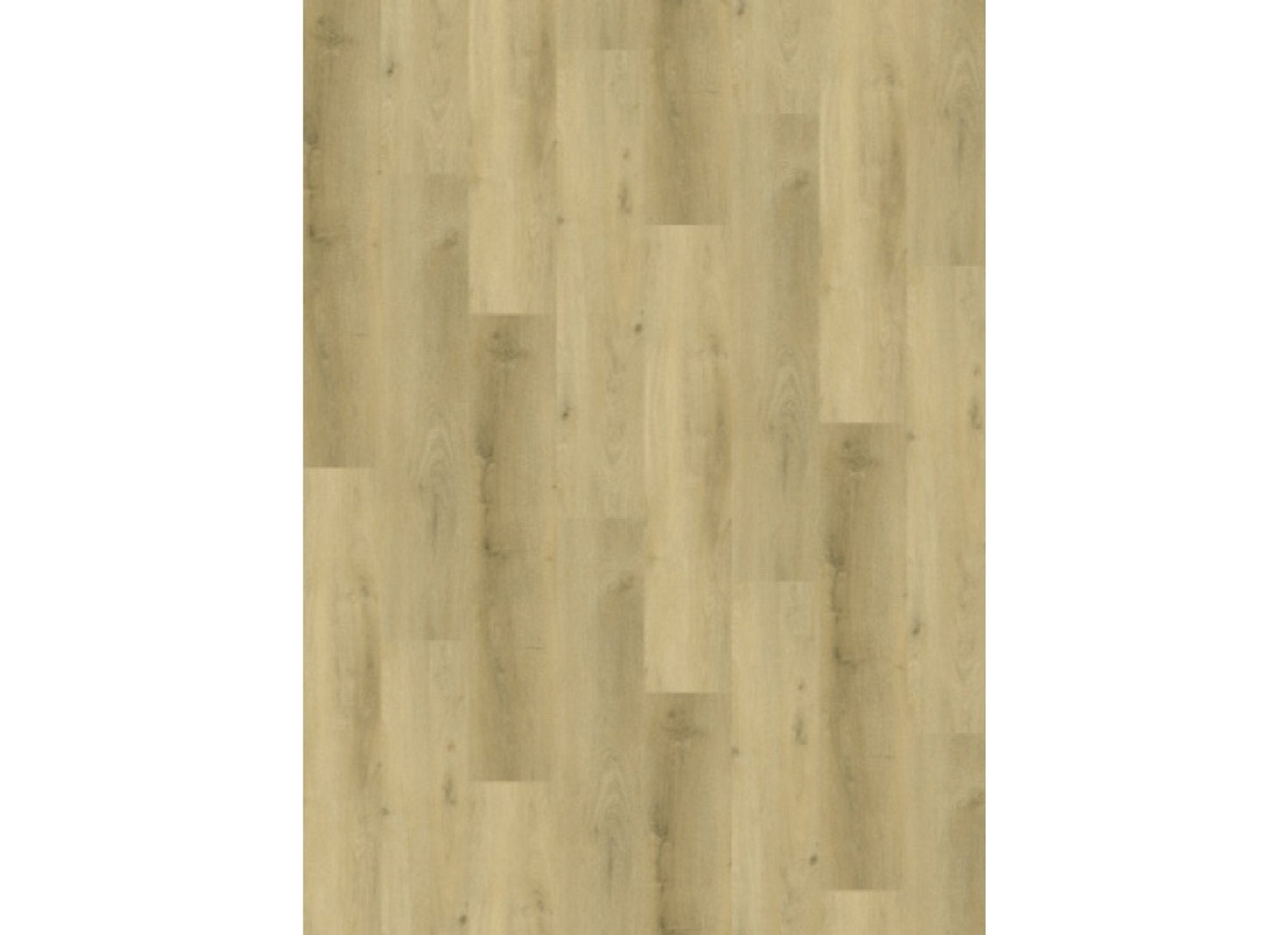 Vario 4904 (dryback) Prestige Oak Light