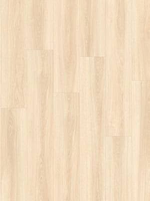Drenthe Veenoord - PVC plak