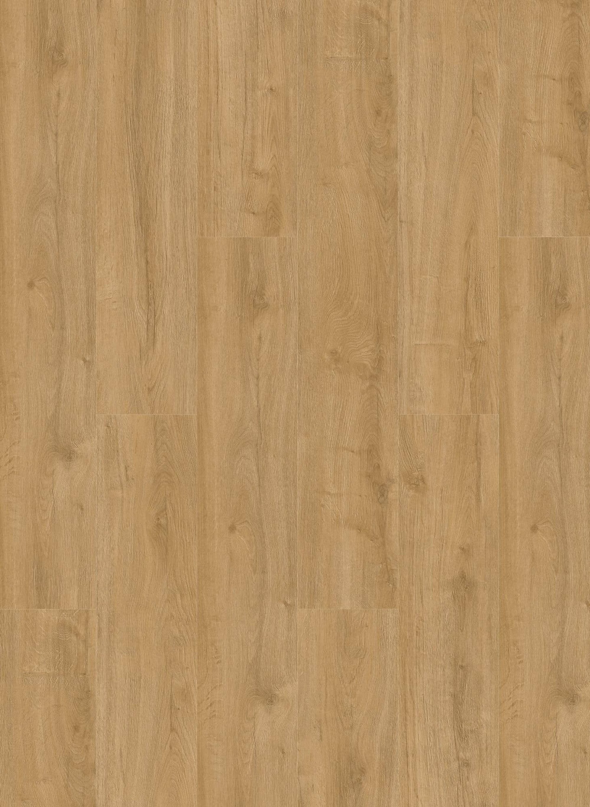 Oakland 7101 (rigid click) Naturel