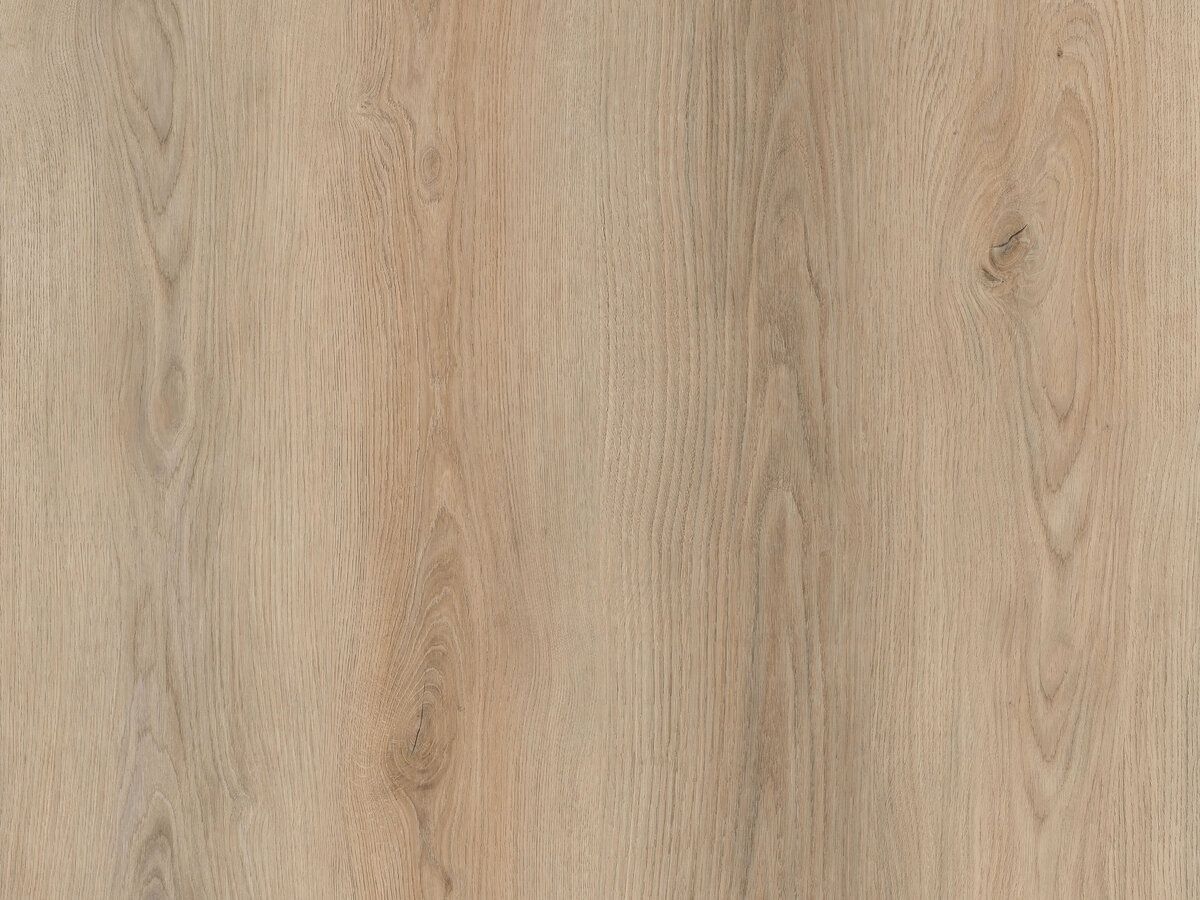 Eternity Plank Click