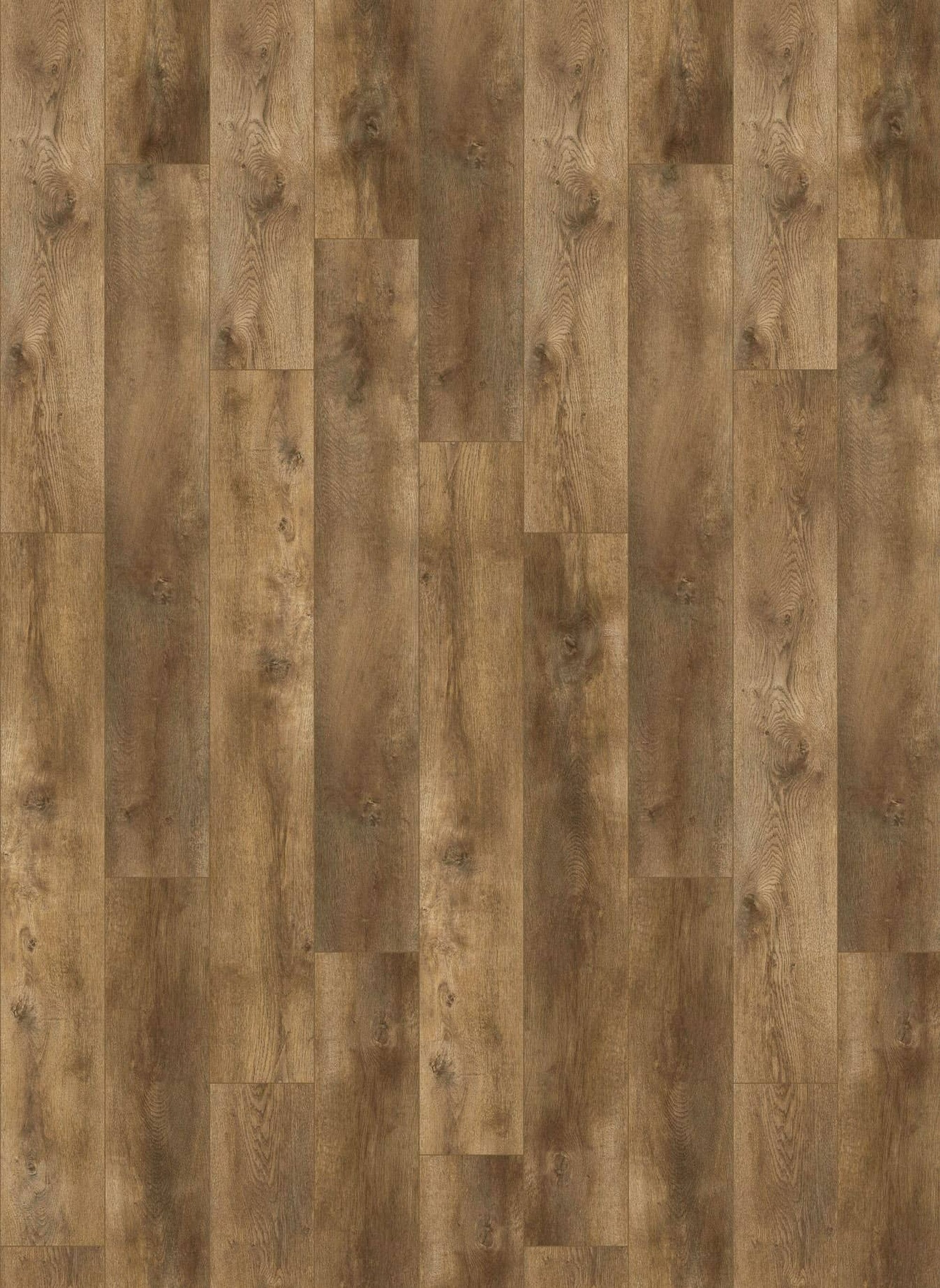 Nevada 6002 (dryback) Valley Oak Cinnamon