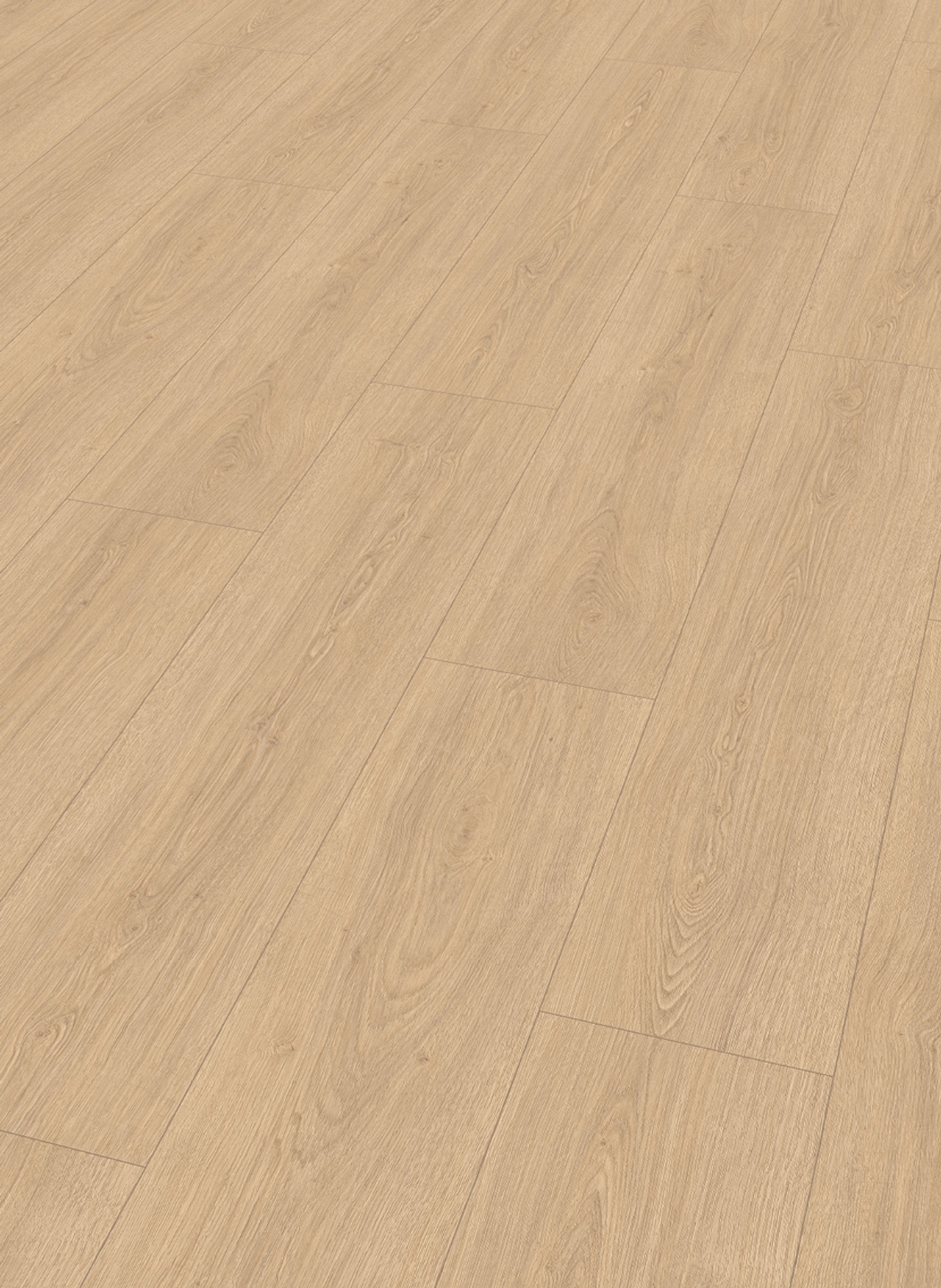 Lion 8 mm 2027 Gamble Oak Light