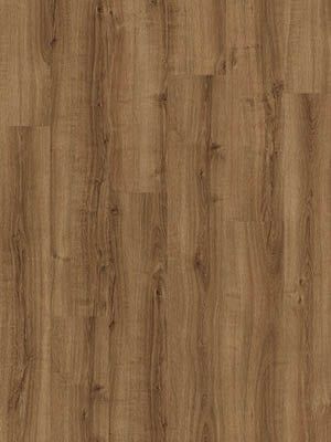 Drenthe Schoonloo - PVC plak