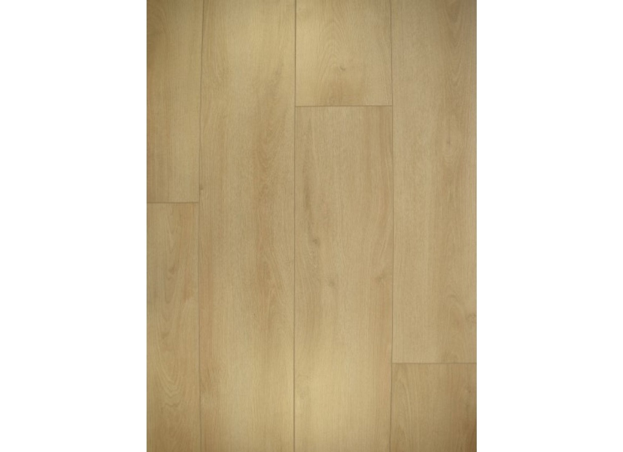 Falco 3902 Sommer Eiche Beige