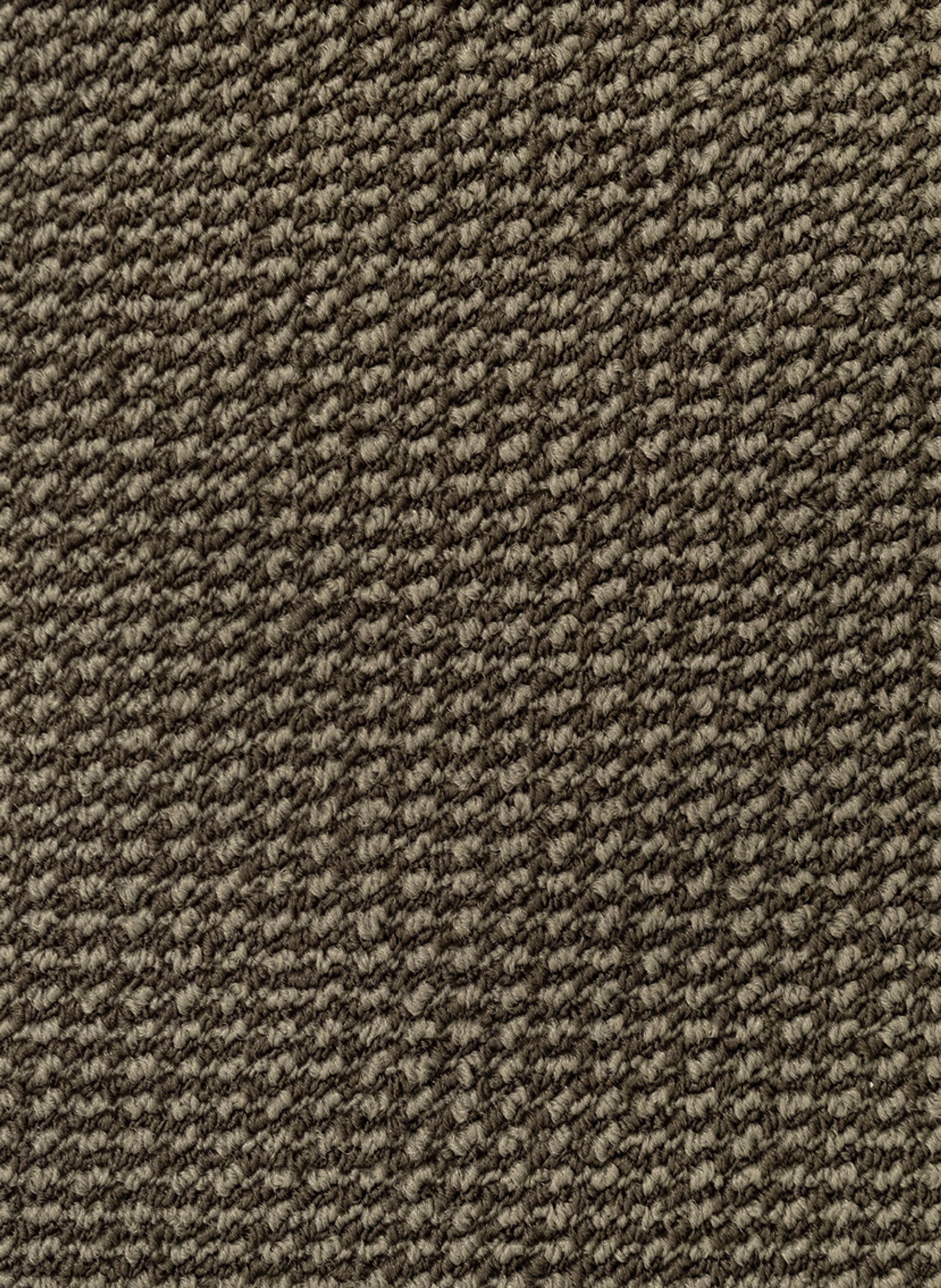 Rivoli SDN 94