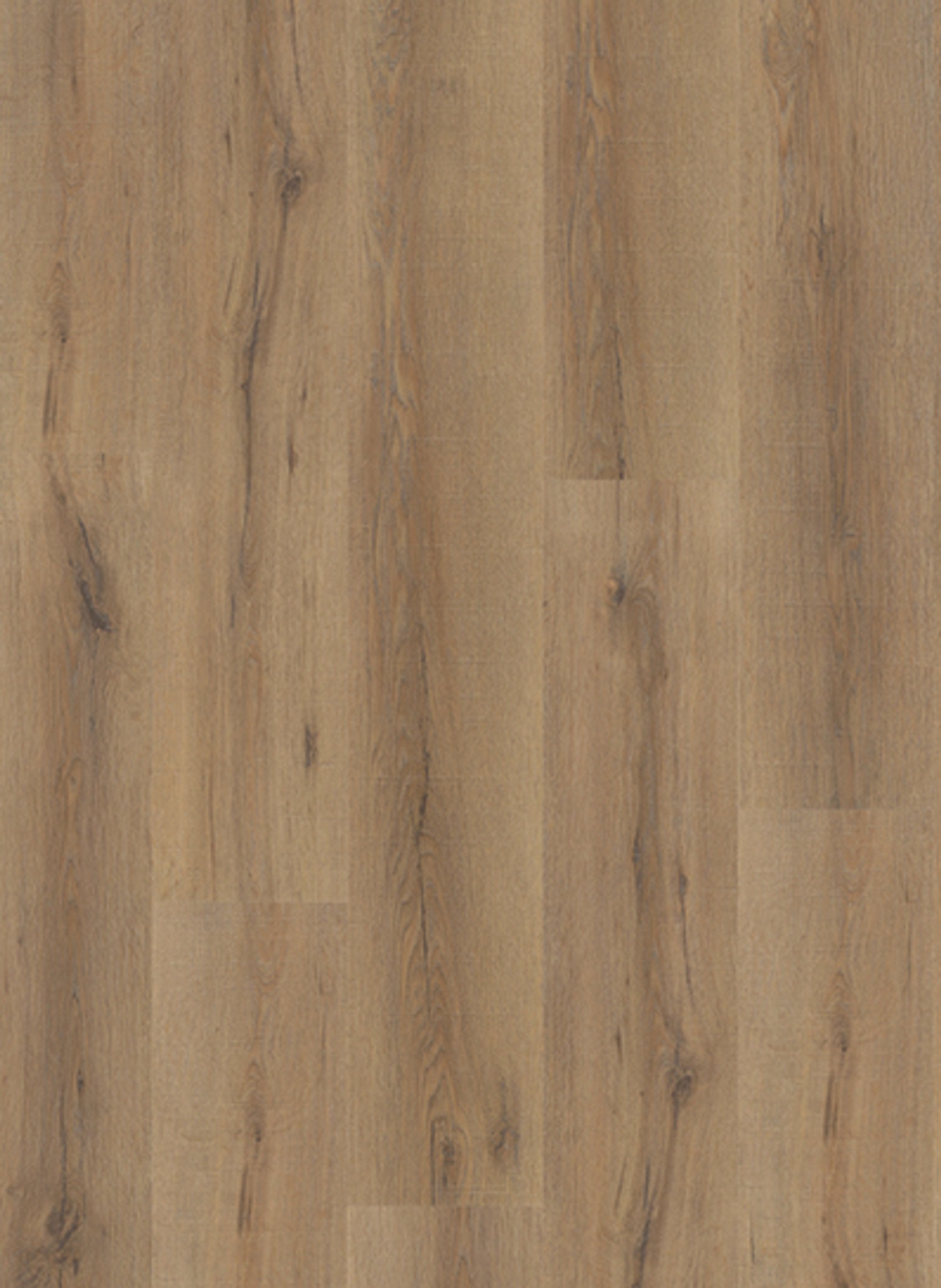 City 5601 (rigid click) Smoked Oak Natural
