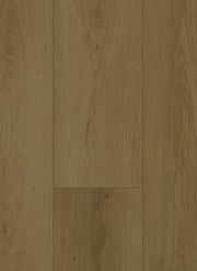 Firmfit 6702 (dryback) Summerfield Cinnamon