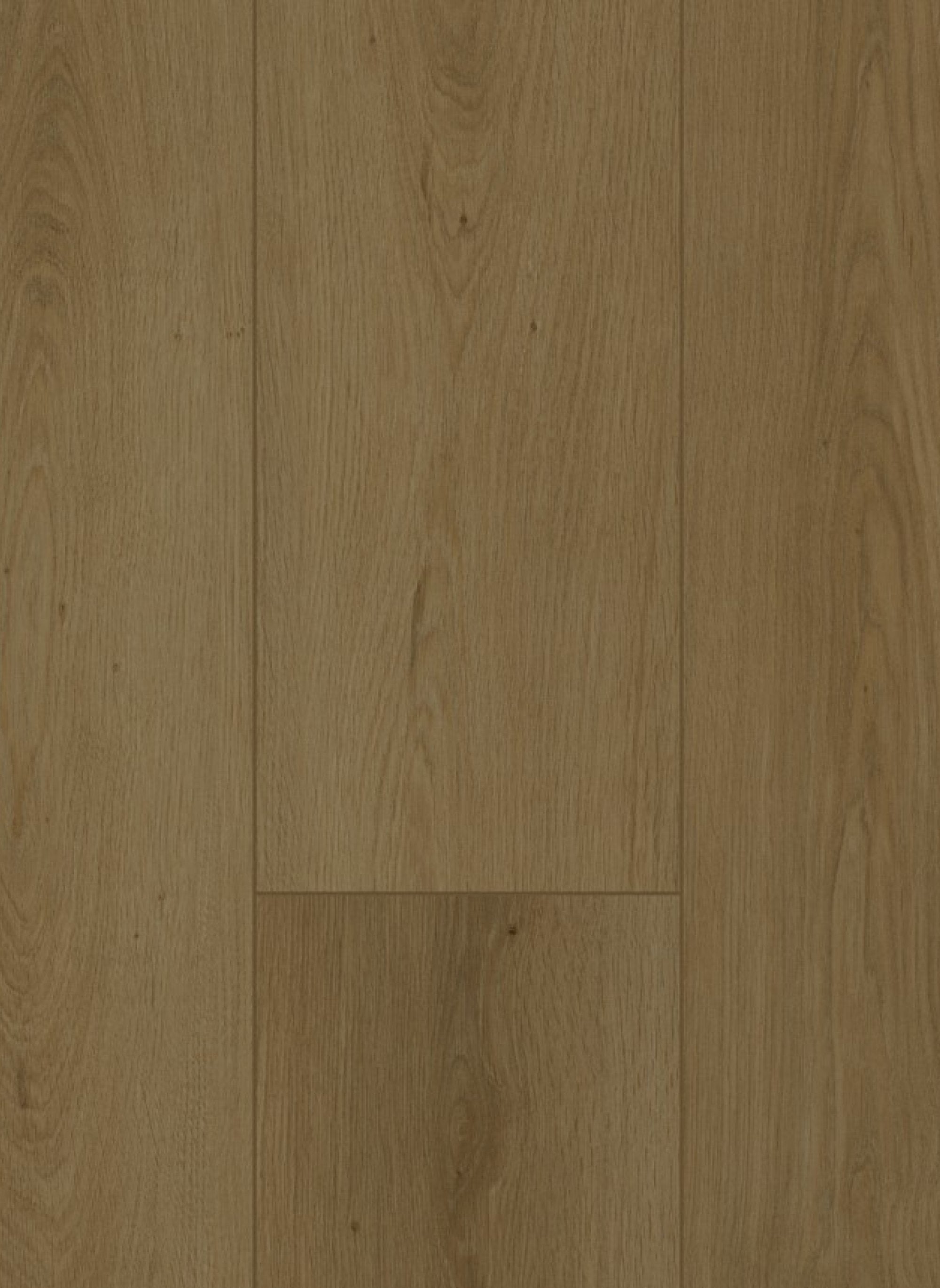 Firmfit 6702 (dryback) Summerfield Cinnamon
