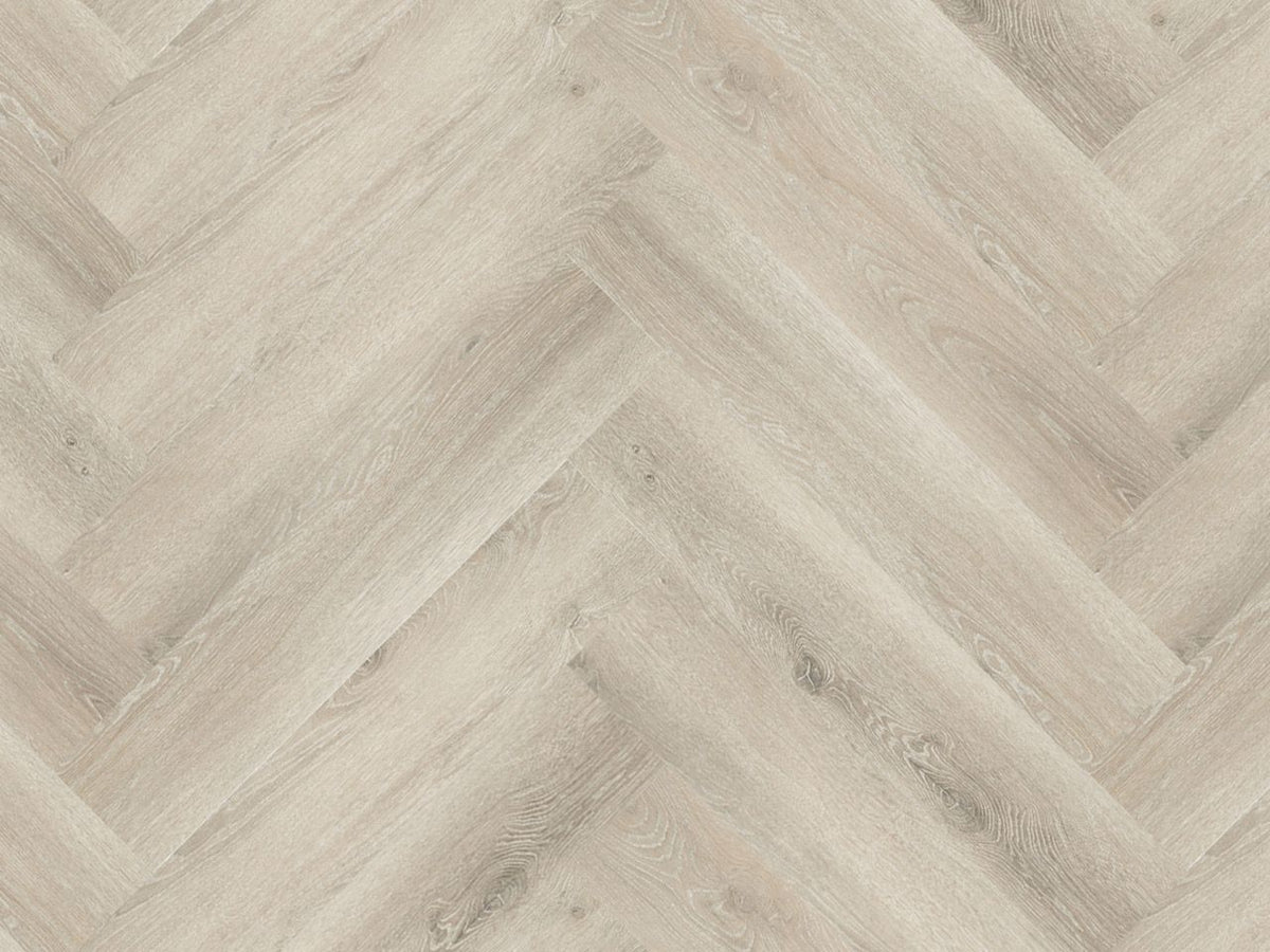 Progress Visgraat XL 77816 - PVC plak