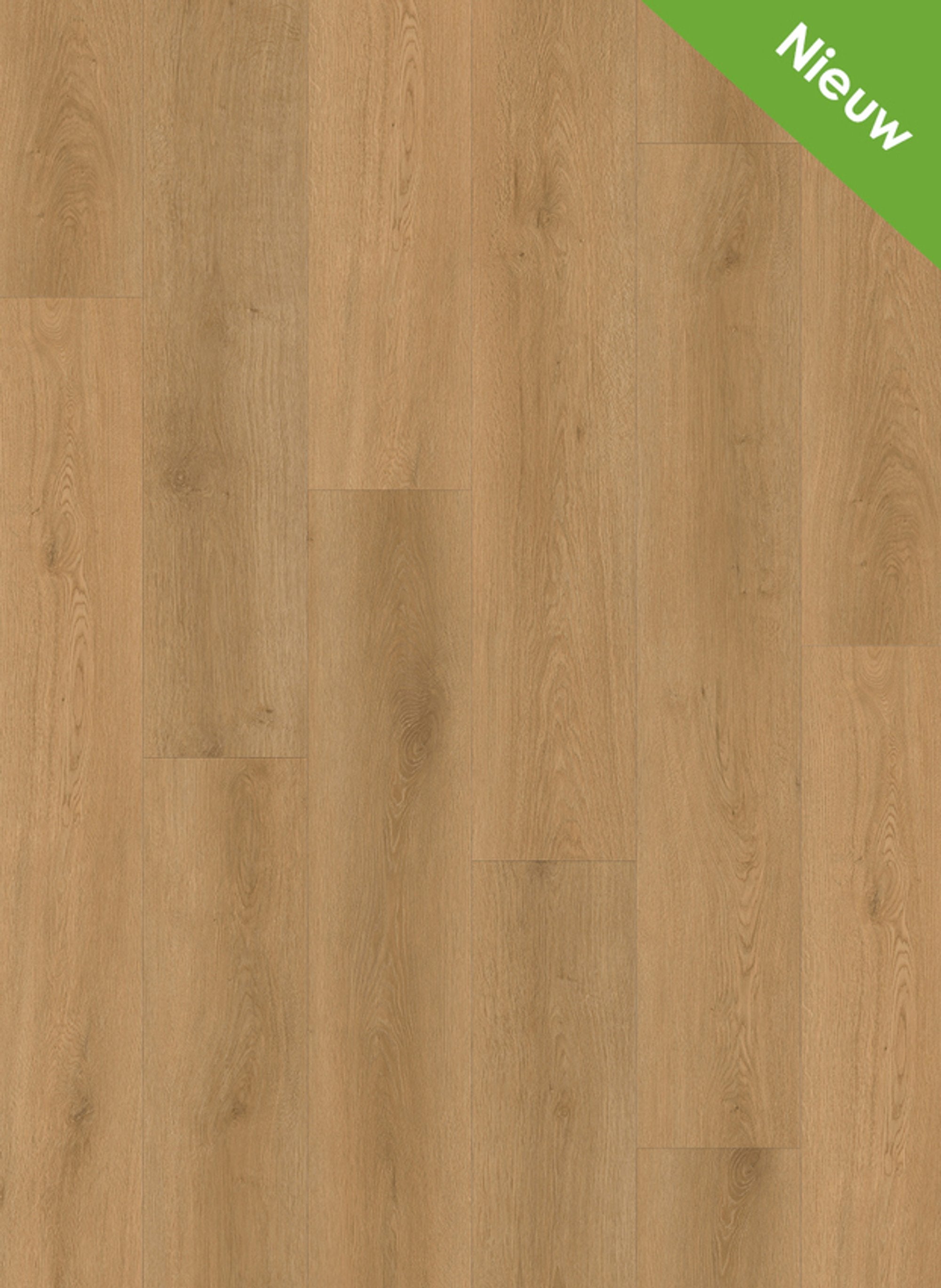 Intense 3301 (rigid click) Oak Naturel
