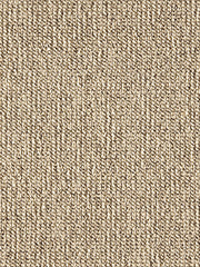 Rocco 31 Lichtbeige