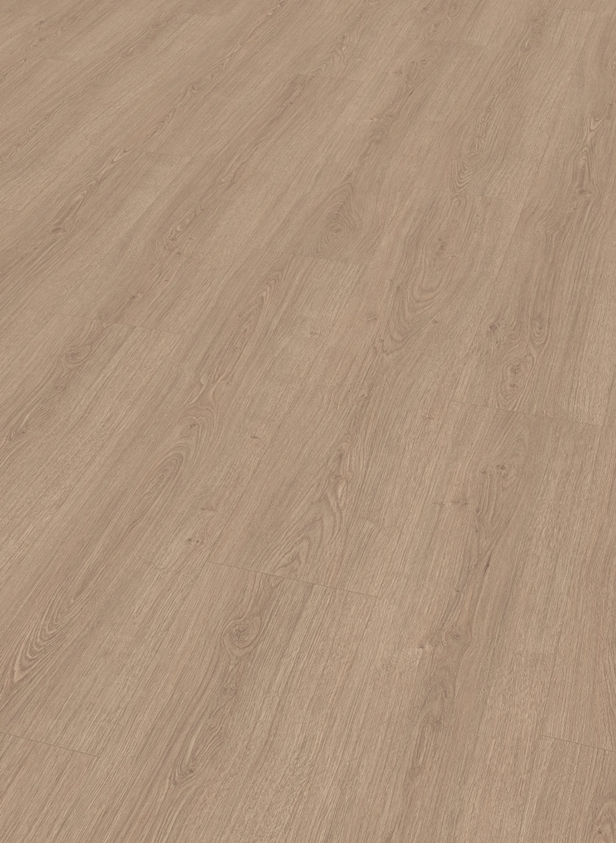 Lion 8 mm 2029 Gamble Oak Smoked