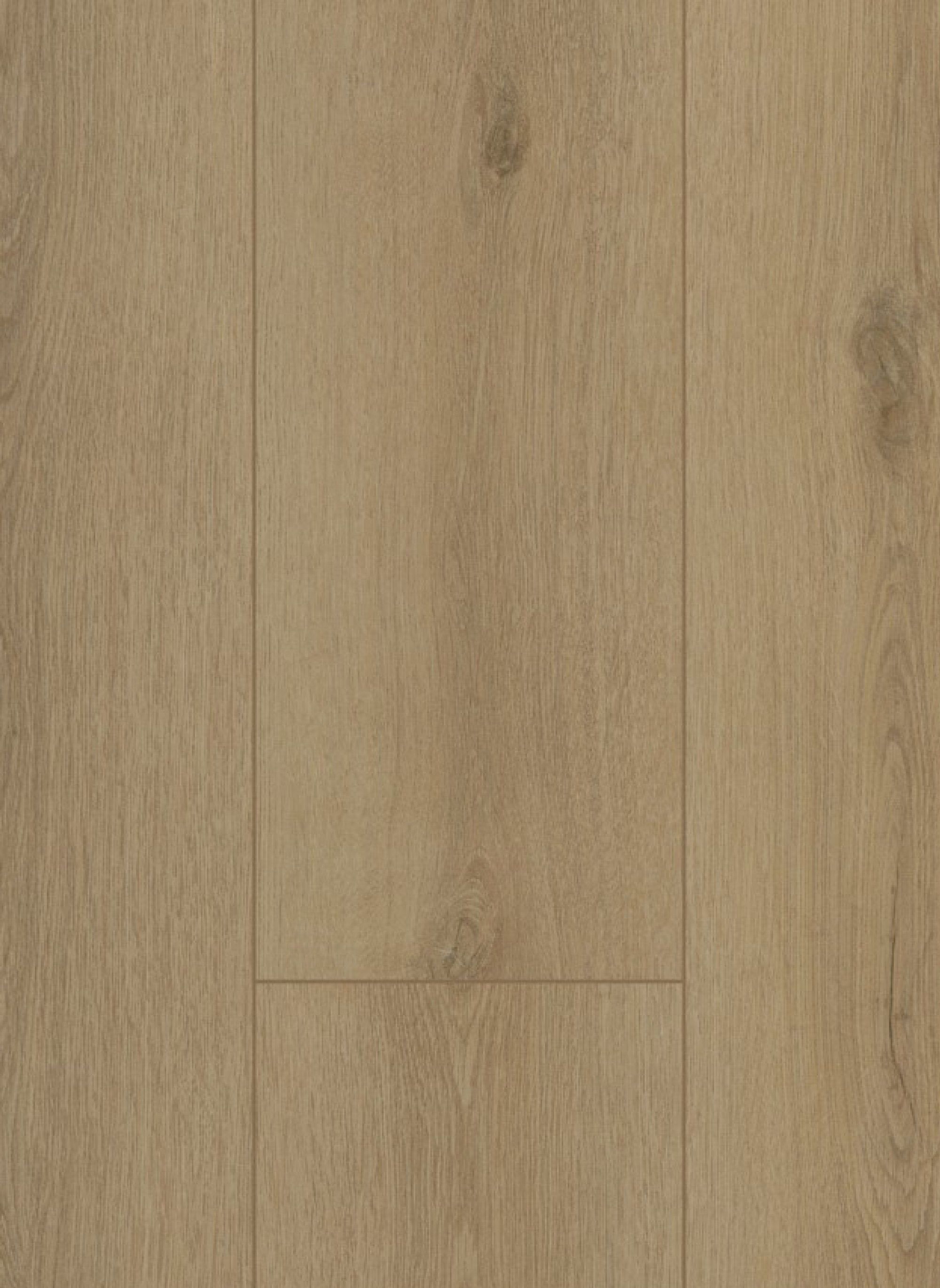 Firmfit 6501 (dryback) Sierra Beige