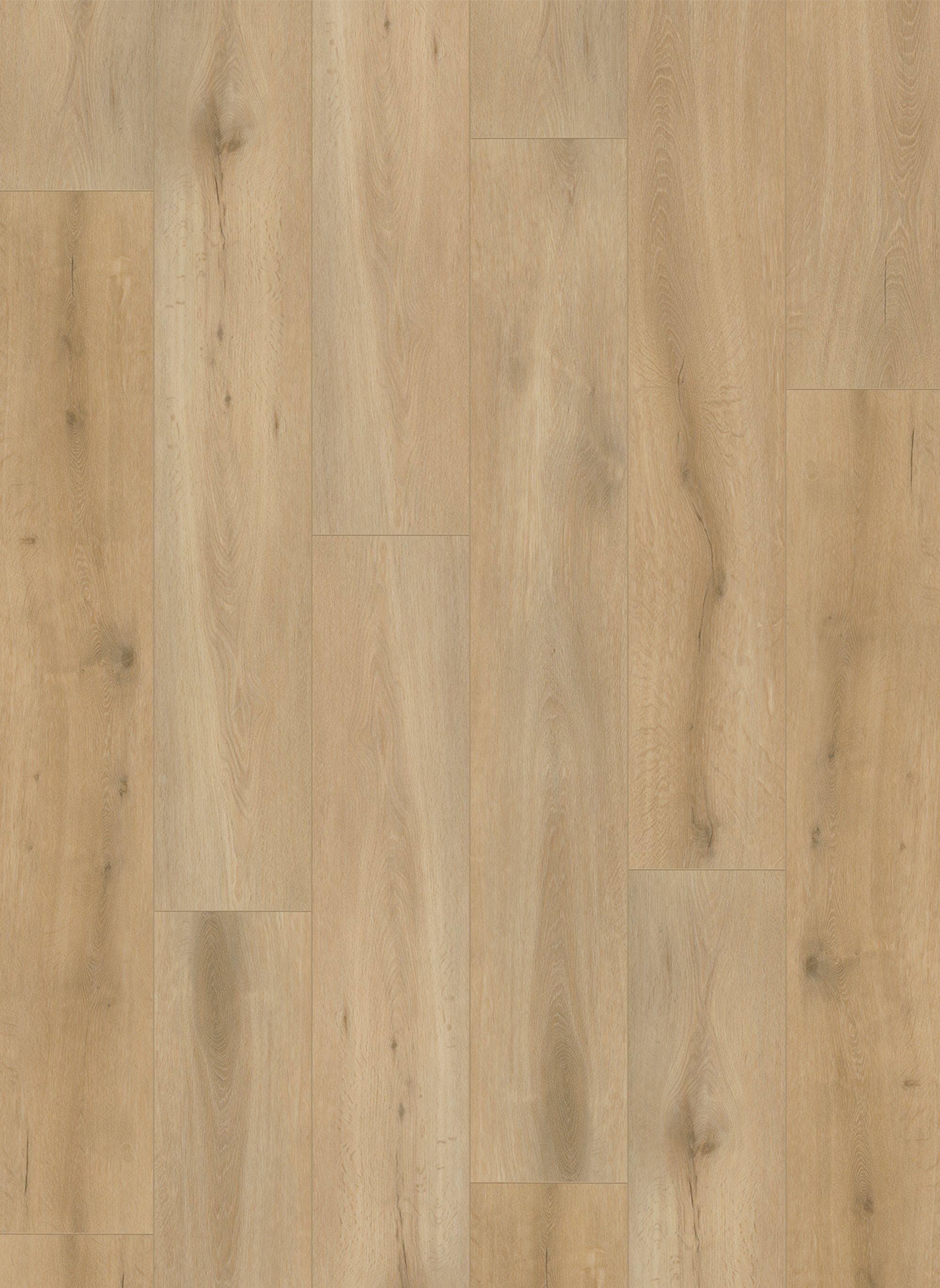 Callisto 4101 (dryback) Natural Oak Light