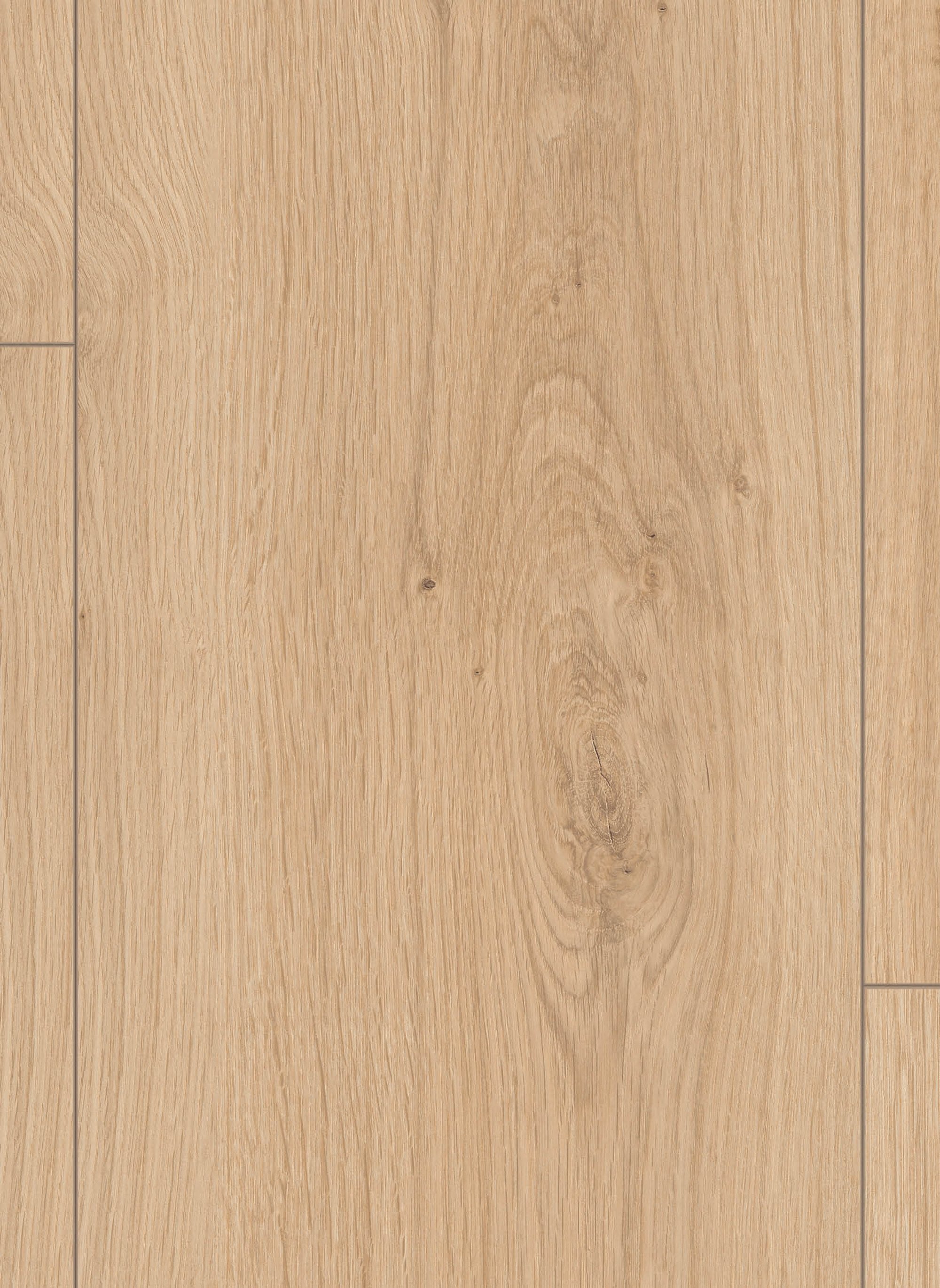 Lion 8 mm 2113 Volta Eiken Beige