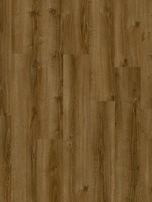 Drenthe Tynaarlo - PVC plak