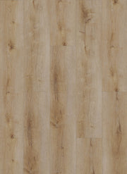 Dynamic 2501 (dryback) Natural smoked