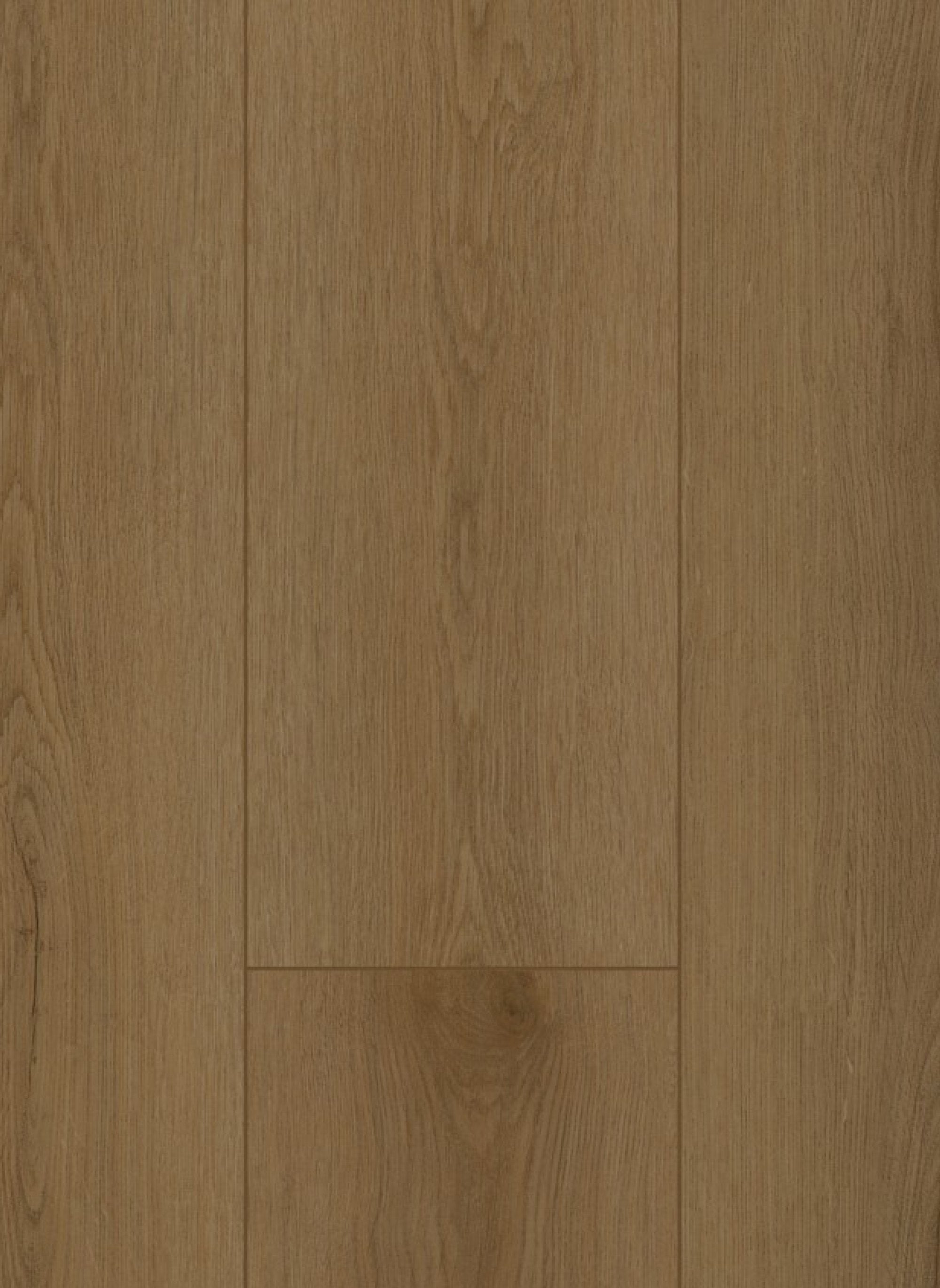 Firmfit 6503 (dryback) Sierra Brown
